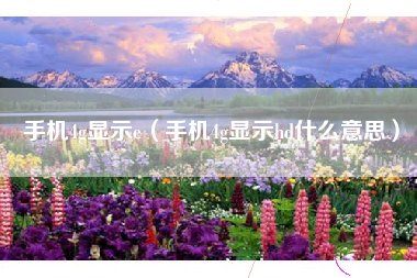 手机4g显示e（手机4g显示hd什么意思）