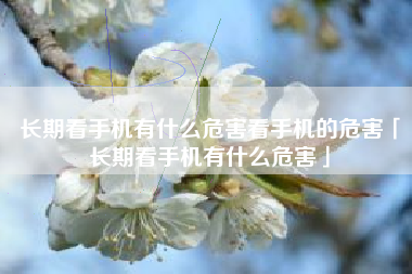 长期看手机有什么危害看手机的危害「长期看手机有什么危害」