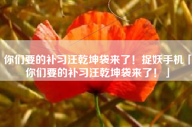 你们要的补习汪乾坤袋来了！捉妖手机「你们要的补习汪乾坤袋来了！」