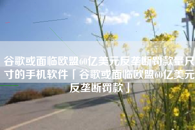 谷歌或面临欧盟60亿美元反垄断罚款量尺寸的手机软件「谷歌或面临欧盟60亿美元反垄断罚款」