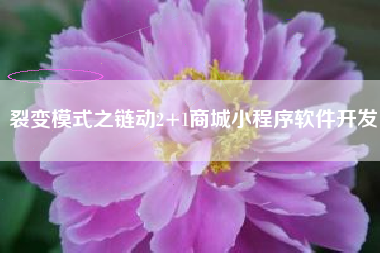 裂变模式之链动2+1商城小程序软件开发