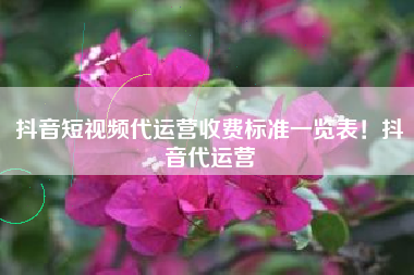 抖音短视频代运营收费标准一览表！抖音代运营